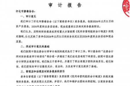 怀化市禁毒协会2024年财务报表审计公示
