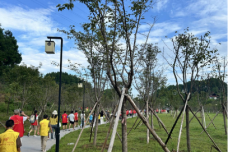 探寻植物生存智慧，怀化绿色卫士志愿者助力旅发会