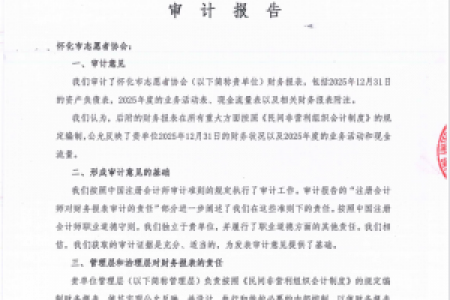 怀化市志愿者协会2025年审计报告