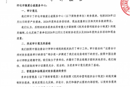 怀化市微爱公益服务中心2024年财务报表审计公示