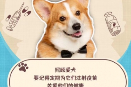 文明养宠倡议书