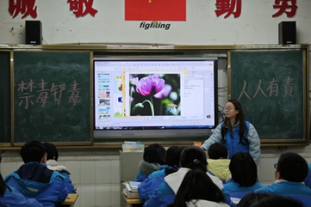 禁毒铲毒，人人有责