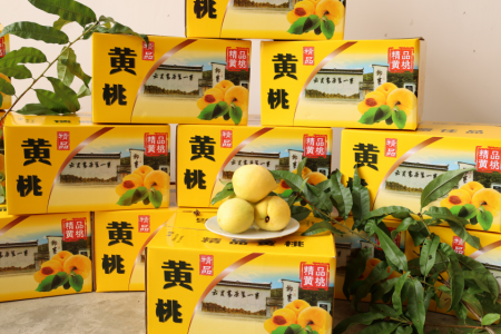 大学生志愿者走进柳寨：黄桃宣传助农，田间书写担当