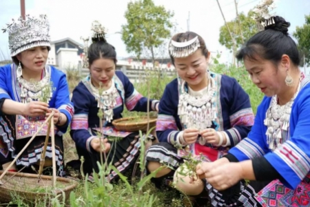 从公益行者到家乡推介官： 初心不改，光影为笔绘家乡