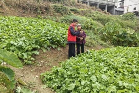 青春不“毒”行·雷锋在行动
