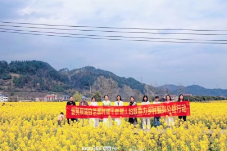 新晃县妇联：金色花海绽芳华·巾帼助力乡村兴—村播妇联及巾帼同