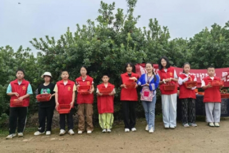 妇联同心聚合力·青春助农杨梅红  ——新晃县妇联联合同心公益