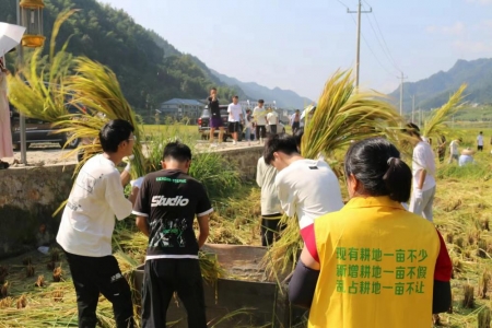 溆浦：收谷知辛，劳动铸魂——丰收节劳动教育行