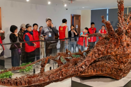 雷锋青少年走进博物馆，探寻五溪千年文脉