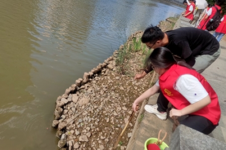 雷锋青少年行动，助力清理福寿螺