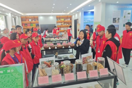 从泥土到餐桌的旅途 怀化市举办“大豆的一生”农业知识科普活动