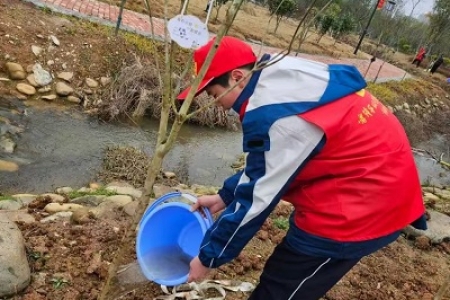 履行植树义务  共建美丽怀化——怀化市第四中学植树活动