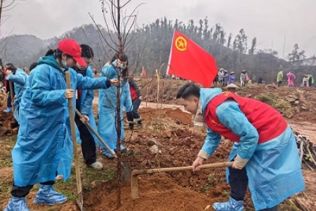 履行植树义务 共建美丽怀化