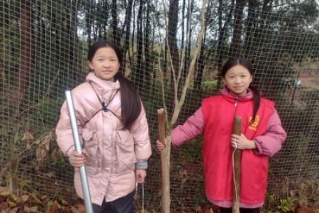 志愿红守护生态绿     青少年植树添新绿