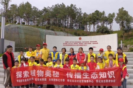 探索自然奥秘：跟着植物去旅行