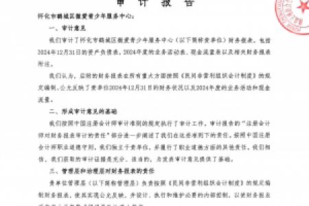 怀化市鹤城区微爱青少年服务中心2024年度检查报告书