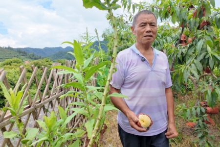 “小小助残”9个月助农44场次 募集物资善款 19 万元 助