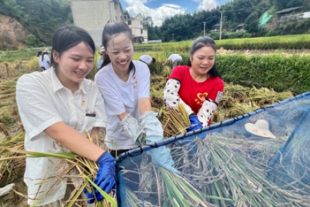 【喜迎全球湘商大会】“稻”不尽的丰收喜悦