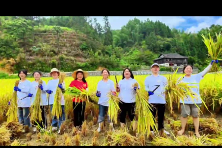 喜迎全球湘商大会“稻”不尽的丰收喜悦