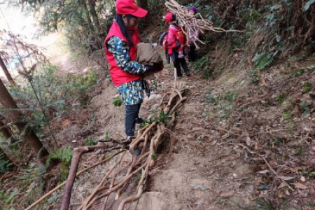 众人合力暖心田  爱心柴火映坪阳