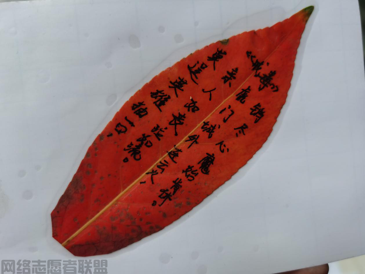 图片10.png