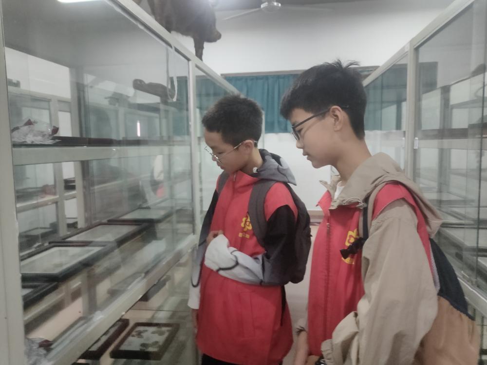 微信图片_20250526160652.jpg